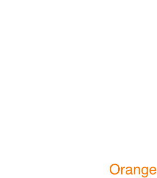 logo 2g4 white